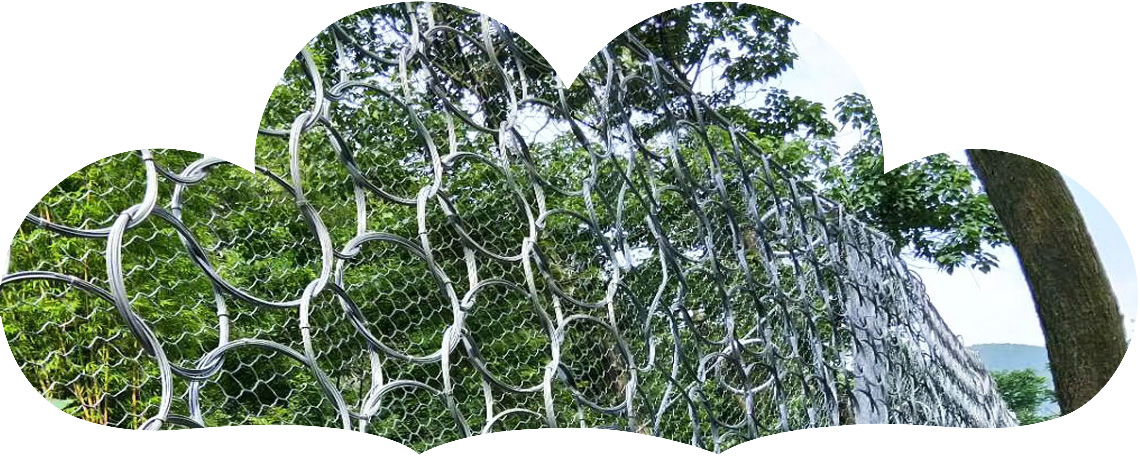 匠心營(yíng)造 真心為您