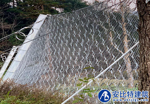 19、PPS-300被動防護網(wǎng).jpg