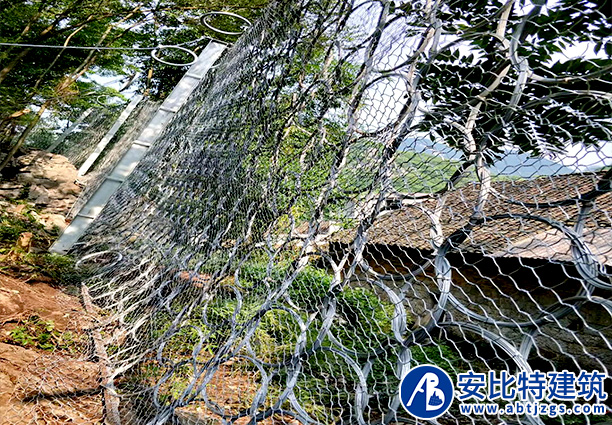 17、PPS-150被動防護網(wǎng).jpg