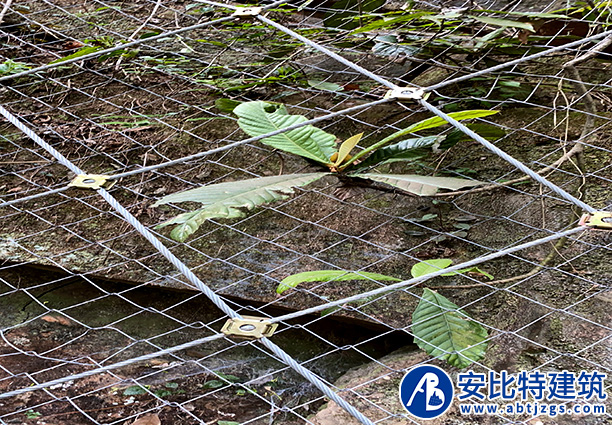 主動(dòng)護(hù)網(wǎng)案例