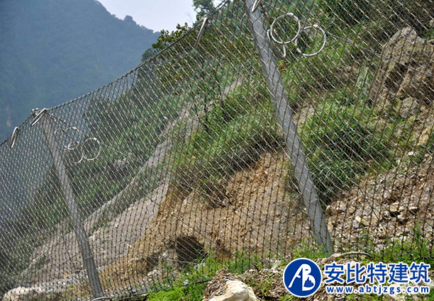 被動護網(wǎng)案例