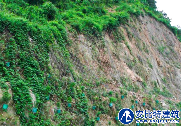 簾式護(hù)網(wǎng)案例
