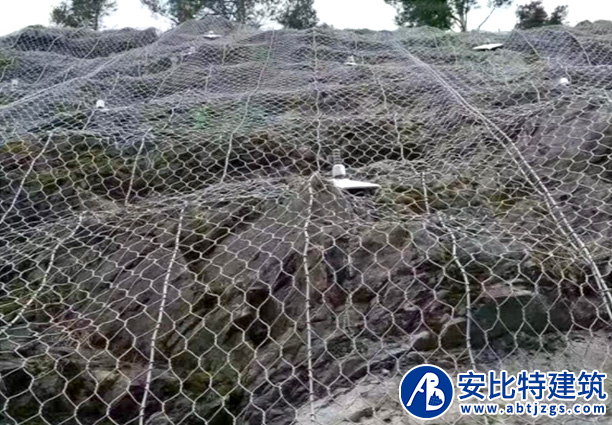 簾式護(hù)網(wǎng)案例