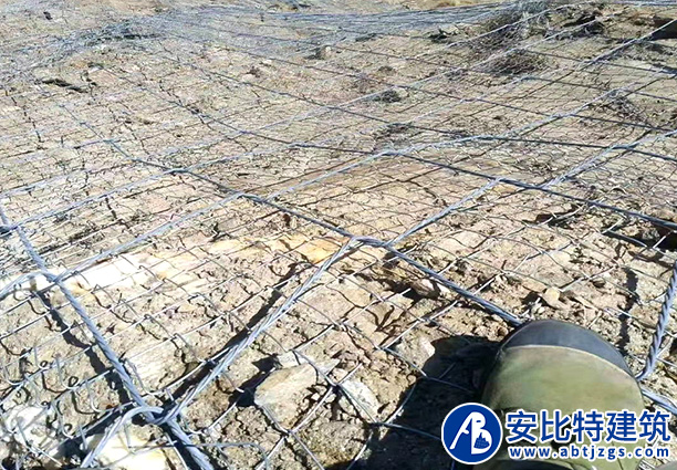 SPIDER主動(dòng)防護(hù)網(wǎng)案例